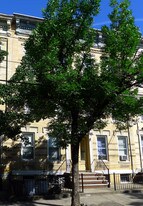 2053 Gates Ave in Flushing, NY - Building Photo