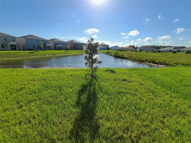 2518 Warren Acrs Blvd in Wesley Chapel, FL - Building Photo - Building Photo