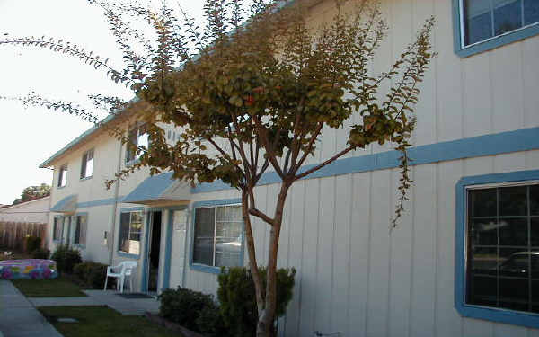 1007 Lloyd St in Lodi, CA - Foto de edificio - Building Photo