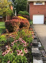 21 Terrace Dr in Crafton, PA - Building Photo - Building Photo