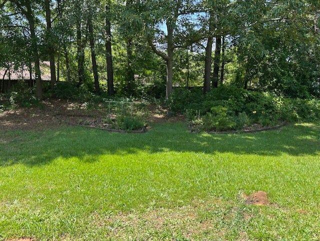 433 Rhett Dr in Loganville, GA - Building Photo - Building Photo