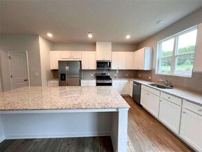 250 Pt Pl Dr in Loganville, GA - Building Photo - Building Photo
