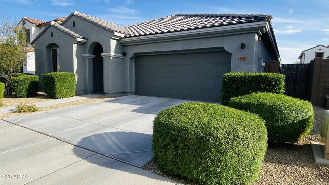 14407 W Chama Dr in Surprise, AZ - Building Photo - Building Photo