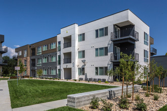 Verra West in Longmont, CO - Building Photo - Building Photo