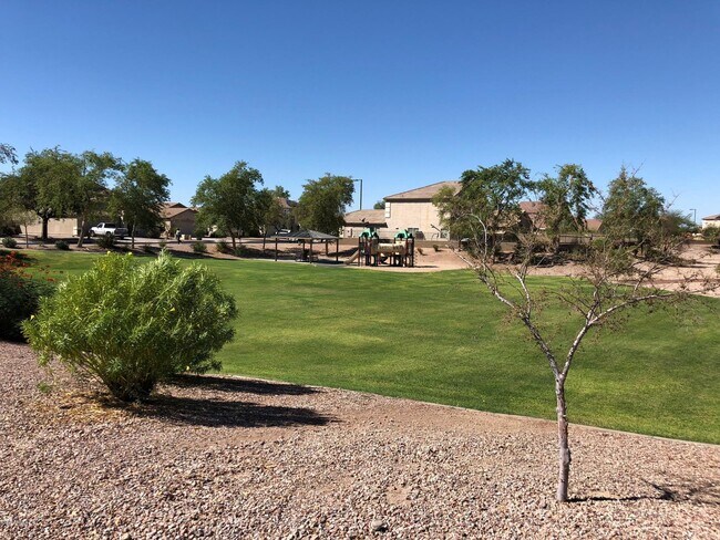 1497 S 227th Dr in Buckeye, AZ - Building Photo - Building Photo