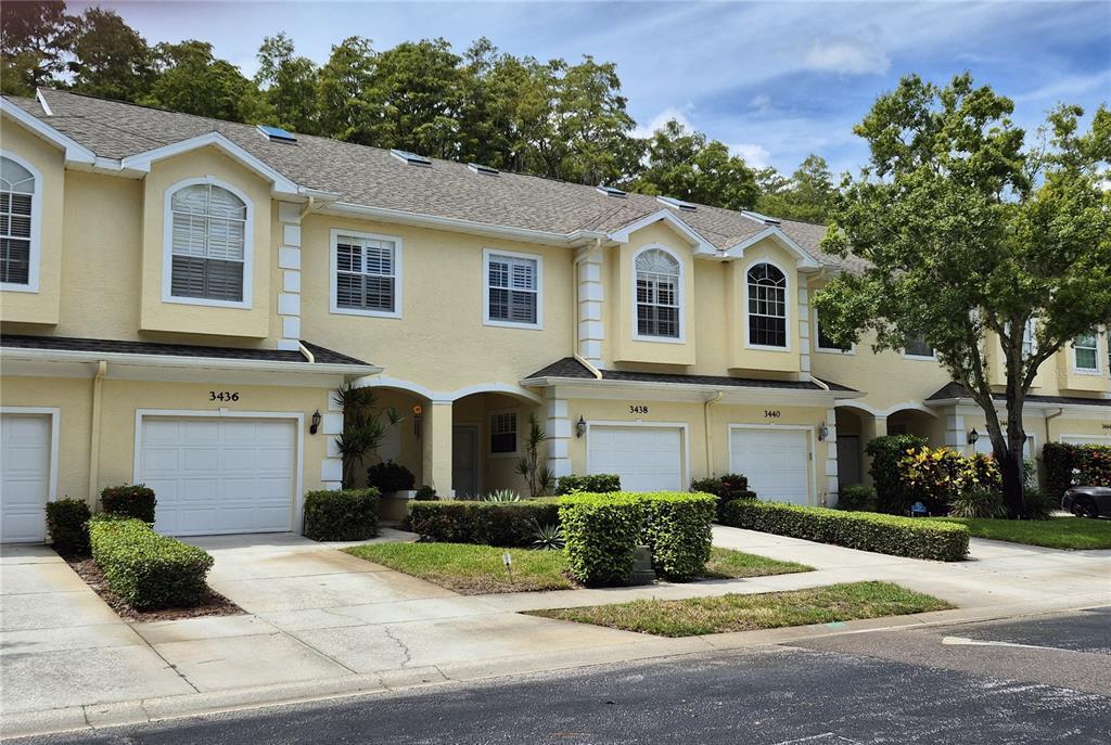 3438 Primrose Way in Palm Harbor, FL - Building Photo