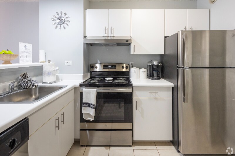 445 N Peshtigo Ct in Chicago, IL - Building Photo