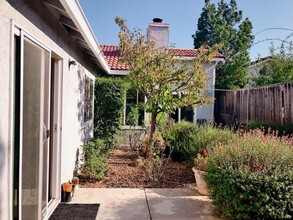 1087 Minoru Dr in San Jose, CA - Foto de edificio - Building Photo