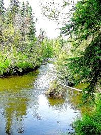 Creekside Terrace in Anchorage, AK - Building Photo - Building Photo