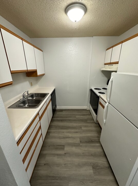 1518 1st St E, Unit 304 in Thief River Falls, MN - Building Photo