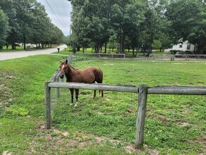 331 Glenwood Dr in Warrenville, SC - Building Photo - Building Photo
