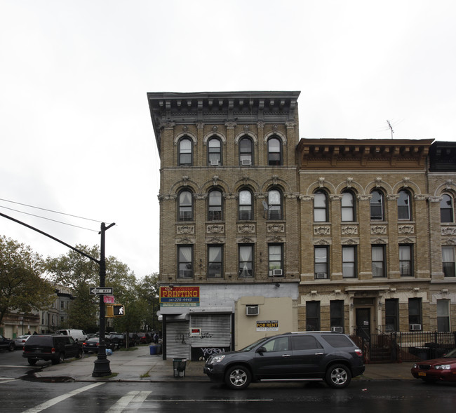 224 Sterling St in Brooklyn, NY - Building Photo - Building Photo