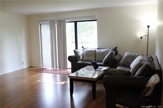 38 Olcott Way in Ridgefield, CT - Building Photo - Building Photo