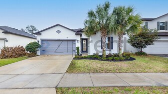 17228 Goldcrest Loop in Clermont, FL - Building Photo