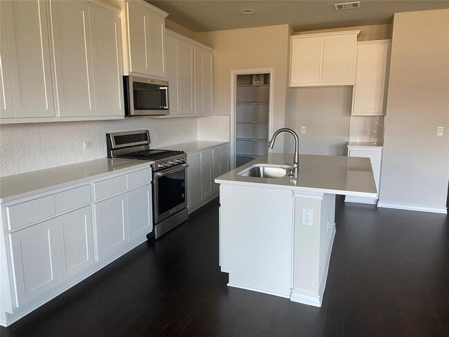 309 Akumal Ave in Leander, TX - Building Photo - Building Photo