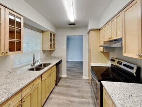 6256 Danbury St in Spring Hill, FL - Building Photo - Building Photo