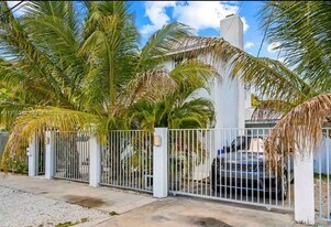 3427 Frow Ave in Miami, FL - Building Photo