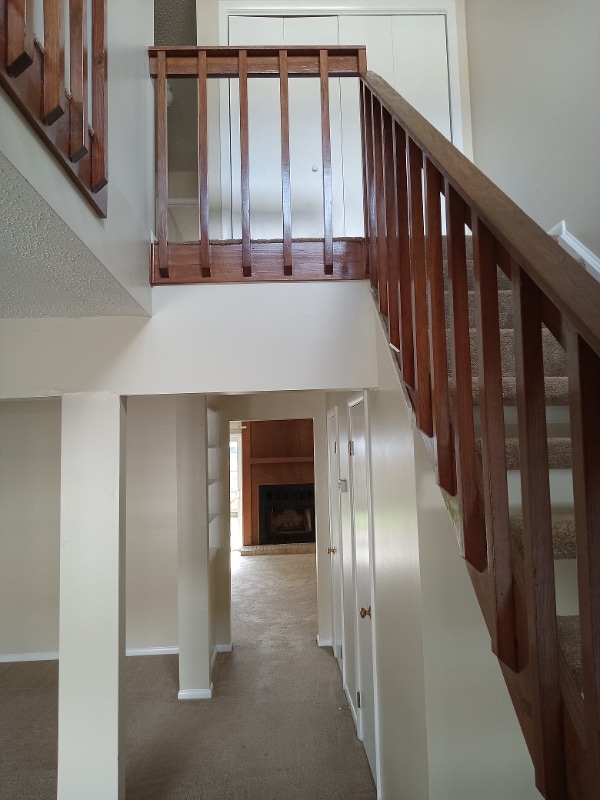3631 Chimney Creek Dr in Virginia Beach, VA - Building Photo - Building Photo