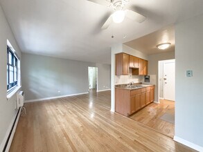 515 W Briar Pl in Chicago, IL - Building Photo - Building Photo