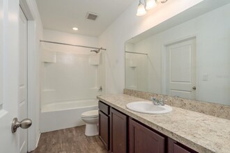 34847 Daisy Meadow Loop in Zephyrhills, FL - Building Photo - Building Photo