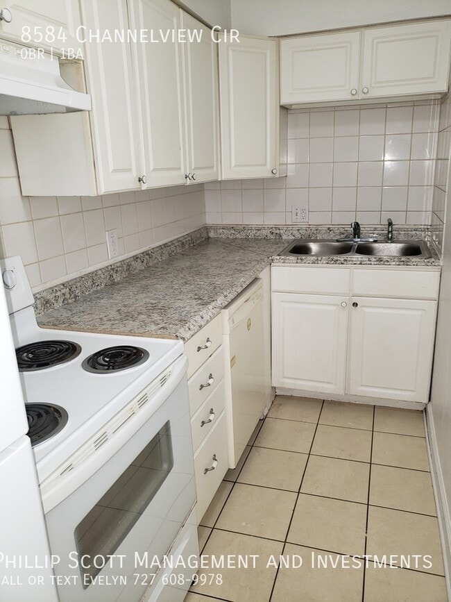 8584 Channelview Cir in Tampa, FL - Building Photo - Building Photo