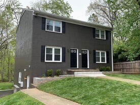 253 Stribling Ave in Charlottesville, VA - Building Photo