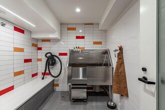 3 Exeter St, Unit #310 in Boston, MA - Building Photo - Building Photo