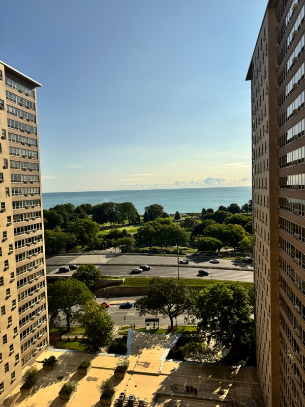 3950 N Lake Shore Dr