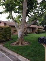 17303 Village 17 in Camarillo, CA - Building Photo