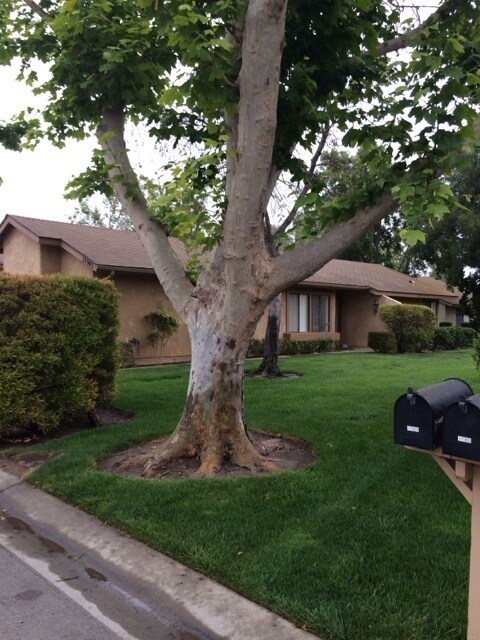 17303 Village 17 in Camarillo, CA - Building Photo