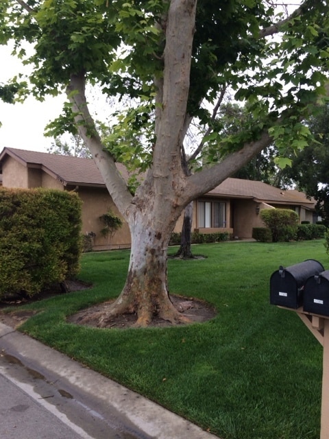 property at 17303 Village 17