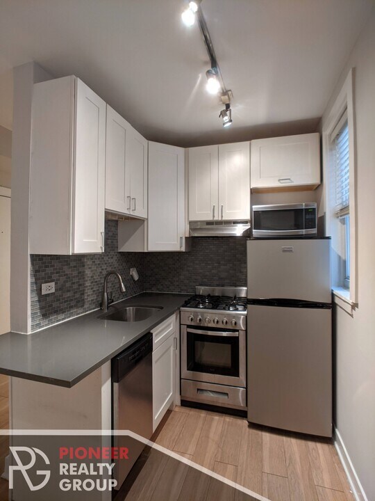 517 W Belmont Ave, Unit 3 in Chicago, IL - Building Photo