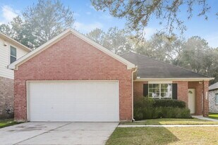 22035 Willow Downs Dr in Tomball, TX - Building Photo