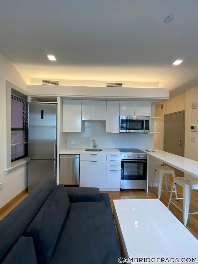 115 Mt Auburn St in Cambridge, MA - Foto de edificio - Building Photo