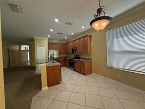 19138 Meadow Pine Dr in Tampa, FL - Building Photo - Building Photo