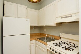 843 W Wolfram St, Unit A02W in Chicago, IL - Building Photo