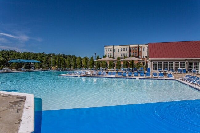 1816 Poolside Ln in Frederick, MD - Building Photo - Building Photo