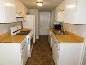 1007 Windy Trail in Austin, TX - Building Photo - Building Photo
