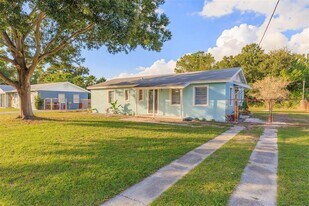 3911 W Tyson Ave in Tampa, FL - Building Photo