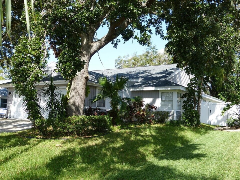 3135 Phlox Dr in Palm Harbor, FL - Building Photo