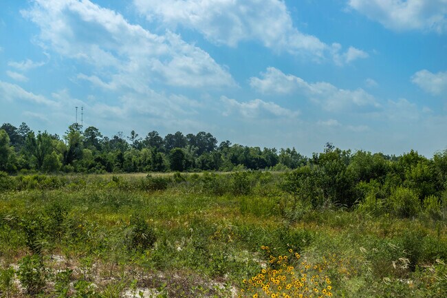 The Residences at Metropark in Shenandoah, TX - Building Photo - Building Photo