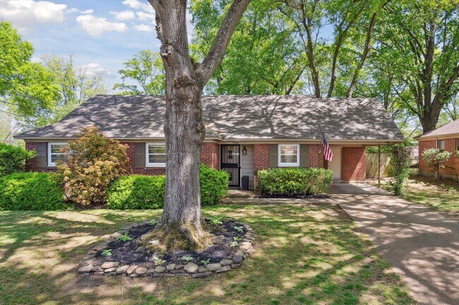 property at 336 McElroy Rd
