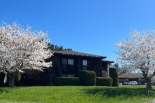 Chicopee Mews in Camillus, NY - Building Photo