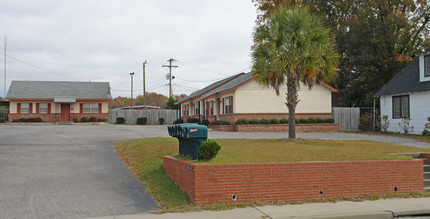 Chestnut Knoll Apartments in Orangeburg, SC - Building Photo - Building Photo