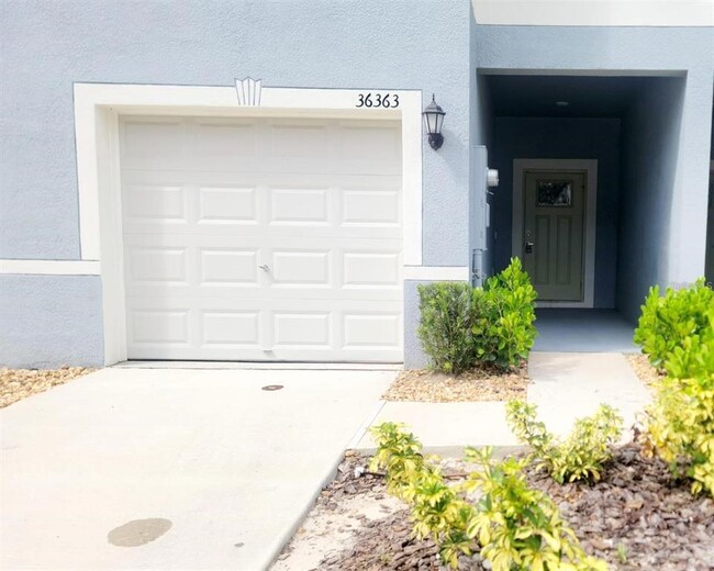 36363 Garden Wall Wy in Zephyrhills, FL - Building Photo - Building Photo