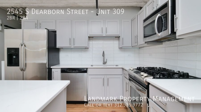 2545 S Dearborn St-Unit -309 in Chicago, IL - Building Photo - Building Photo