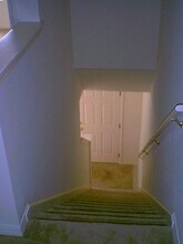 11046 Black Swan Ct in Seffner, FL - Building Photo - Building Photo