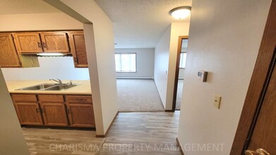 809 W 10th St, Unit 1 in Sioux Falls, SD - Building Photo - Building Photo