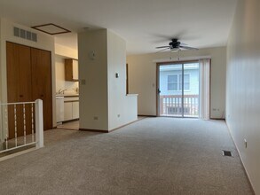 350 College St in Crystal Lake, IL - Building Photo - Building Photo