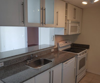 275 NE 18th St, Unit 1004 in Miami, FL - Building Photo - Building Photo